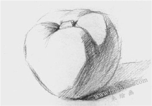 西红柿素描画法步骤 三