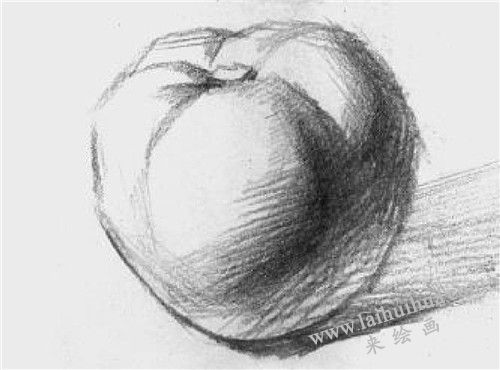 西红柿素描画法步骤  四