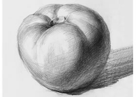 西红柿素描画法（一）