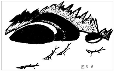 装饰画的画法步骤四