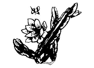 调整完成   插画的作画步骤四