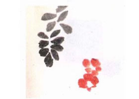 凌霄花水墨画画法步骤