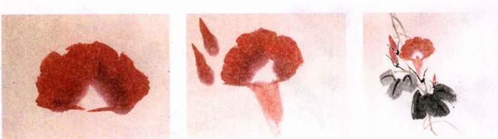牵牛花水墨画画法步骤