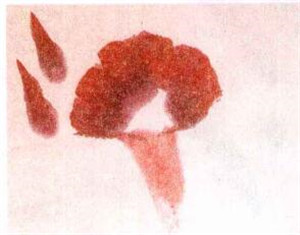 牵牛花水墨画画法步骤二