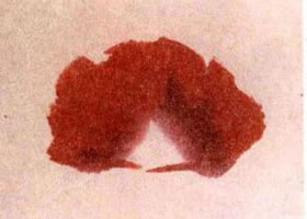 牵牛花水墨画画法步骤