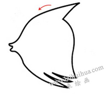 身体的画法，热带鱼简笔画画法步骤一