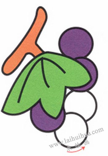 葡萄简笔画画法步骤五