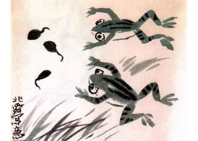 青蛙水墨画画法步骤