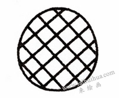 菠萝简笔画画法步骤二