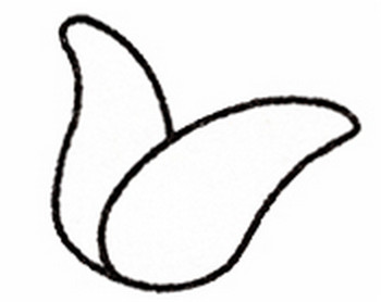 玉米简笔画画法步骤一