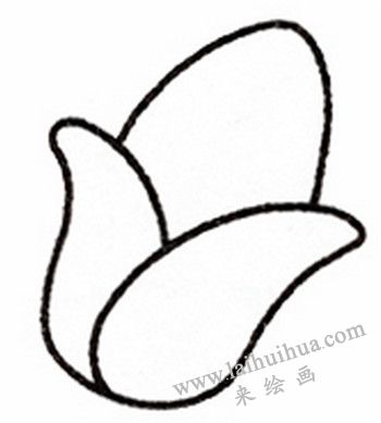 玉米简笔画画法步骤二