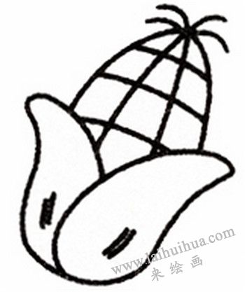 玉米简笔画画法步骤四