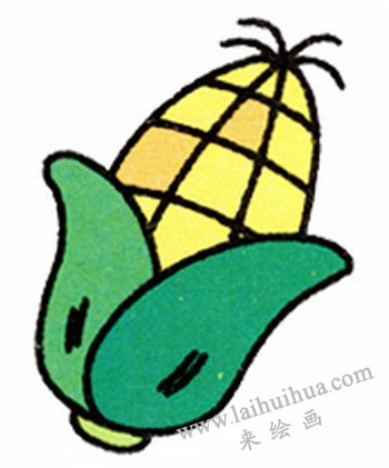 玉米简笔画画法步骤六