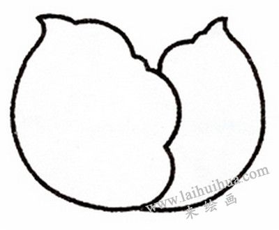 卷心菜简笔画画法步骤二