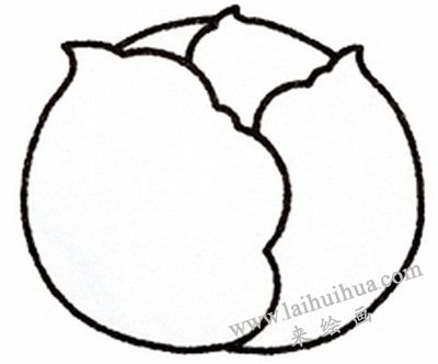 卷心菜简笔画画法步骤三