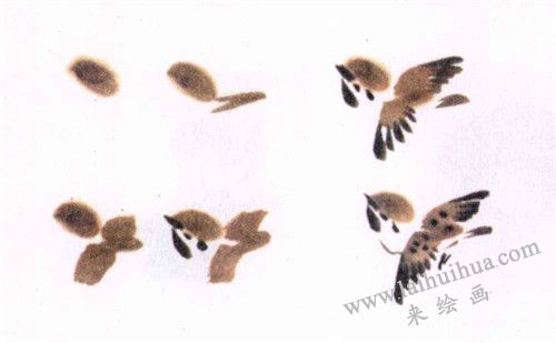 麻雀水墨画画法步骤