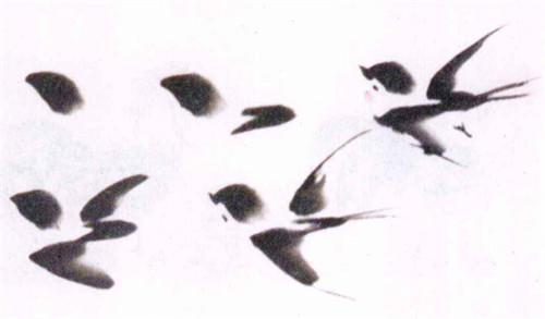 燕子水墨画画法步骤