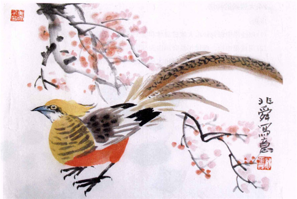 锦鸡的水墨画画法