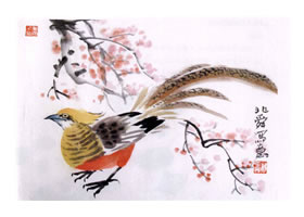 锦鸡的水墨画画法