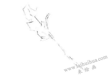 玫瑰花的轮廓，玫瑰花素描画法步骤一