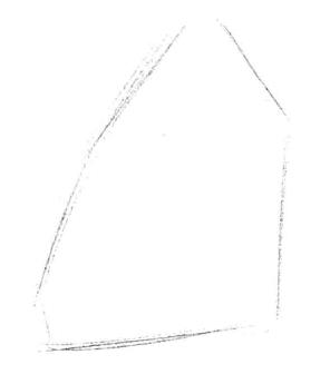 兰花素描画法步骤一