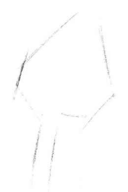 宝铎草素描画法步骤一