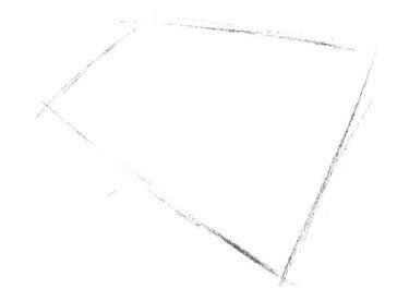 外轮廓，紫叶草素描画法步骤一