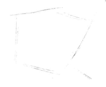 梧桐树叶子素描画法步骤一
