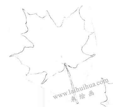 梧桐树叶子素描画法步骤二