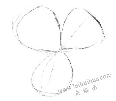 三叶草素描画法步骤一