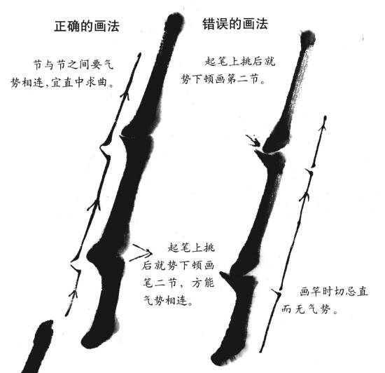 国画竹节的画法