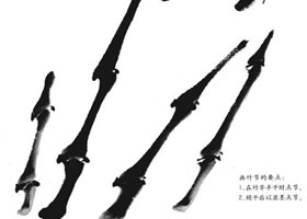 国画竹节的画法