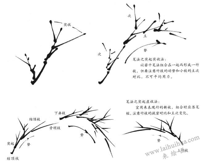 国画竹枝的画法