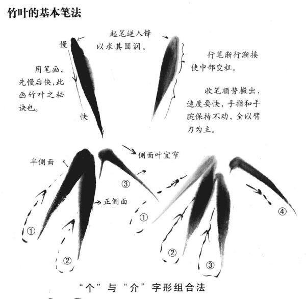 国画竹叶的画法