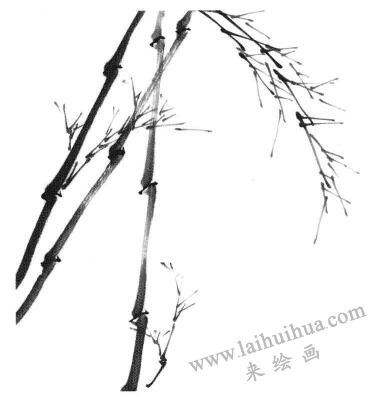 国画竹子画法步骤一：竹竿