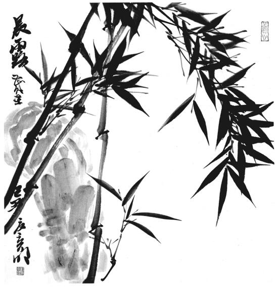 国画竹子画法步骤范例五