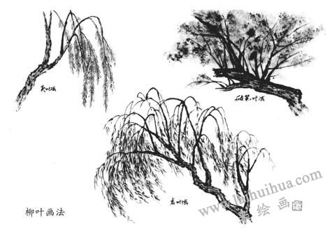 柳叶画法