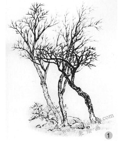 春季杂树画法步骤一
