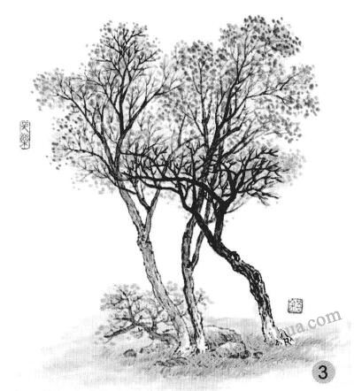 春季杂树画法步骤三