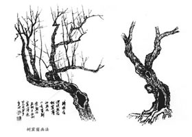 树疤和树窟窿的画法及树根的画法