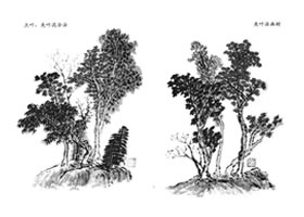 树叶的画法