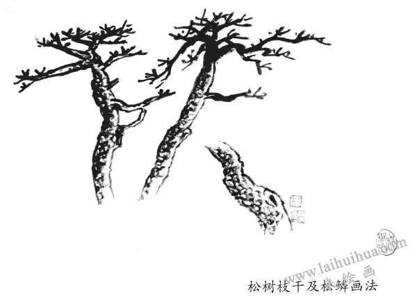 松树枝干及松鳞画法