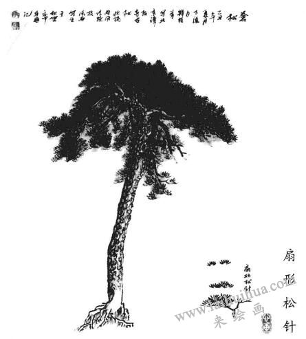 扇形松针的画法
