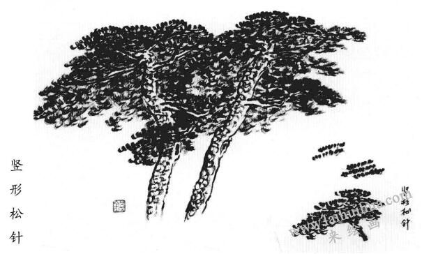 竖形松针的画法