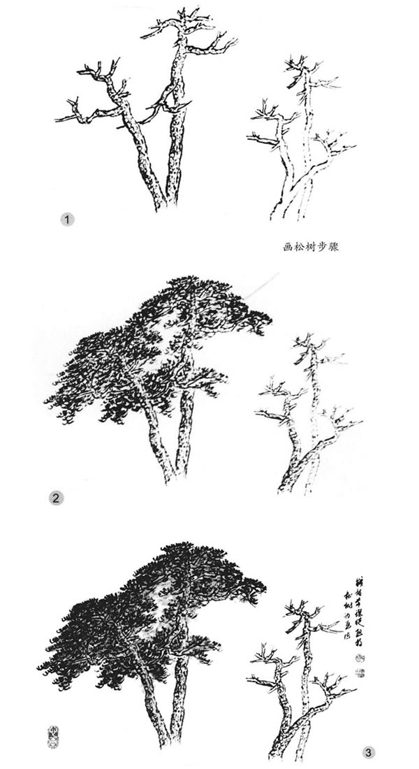 松树的画法