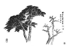 松树的画法