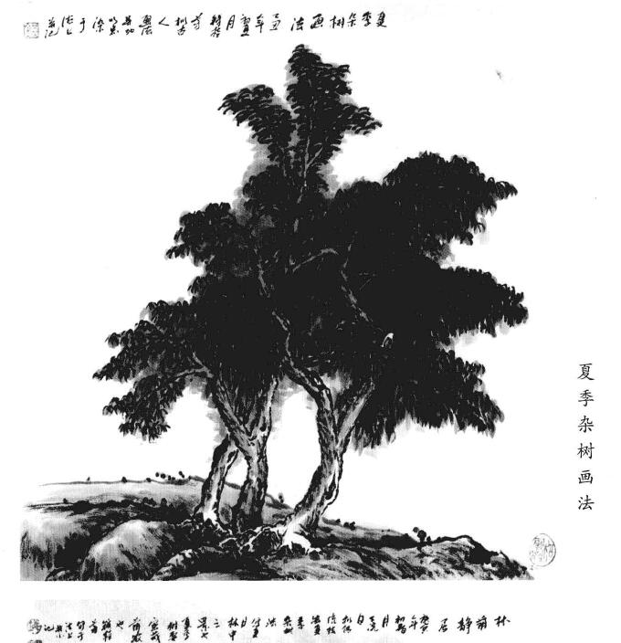 夏季杂树画法