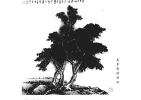 夏季杂树画法