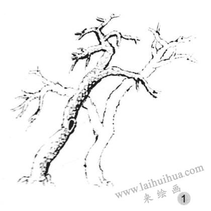 雪树画法步骤一