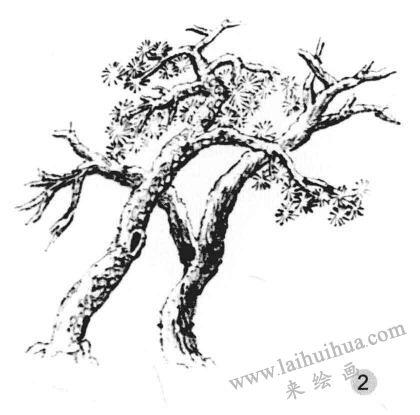 雪树画法步骤二